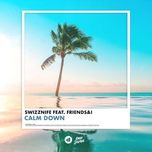 Calm Down (feat. Friends & I) - Single