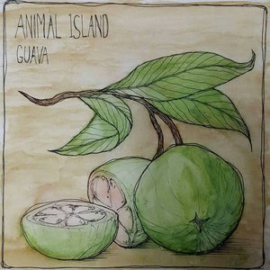Guava