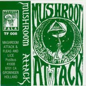 Mushroom Attack