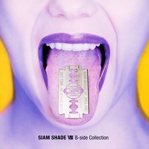 Siam Shade VIII B-side Collection