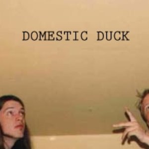Awatar dla domestic duck