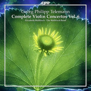 Telemann: Complete Violin Concertos, Vol. 6