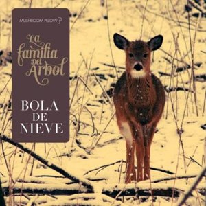 Bola de nieve