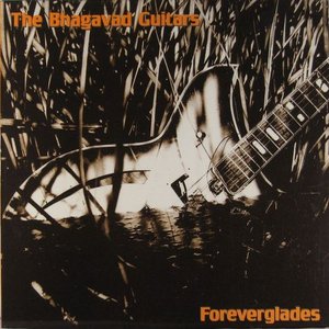 Foreverglades