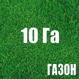 10 Га