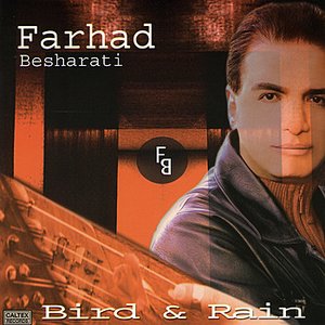 Bird & Rain (Instrumental - Ghanoon, Zither) - Persian Music