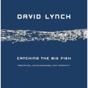 Catching the Big Fish: Meditation, Consciousness, and Creativity