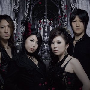 DARKNESS ROSE 的头像