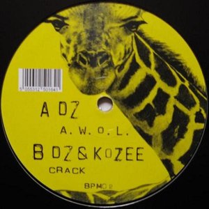 DZ & Kozee 的头像