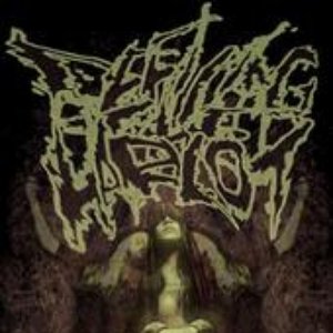 “Defiling The Harlot”的封面