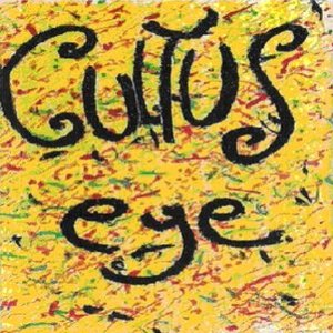 Eye