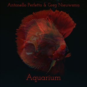 Avatar di Antonello Perfetto & Greg Nieuwsma