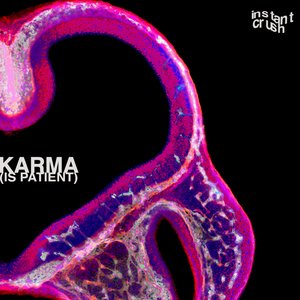 Karma (Is Patient) - Single