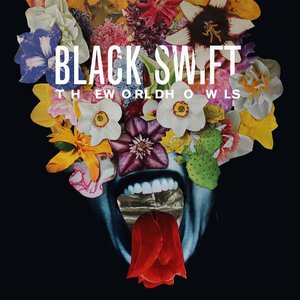 Black Swift 的头像