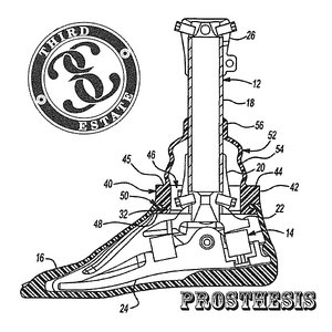 Prosthesis