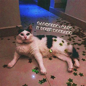 Cachorro, Gato E Peixe Dourado