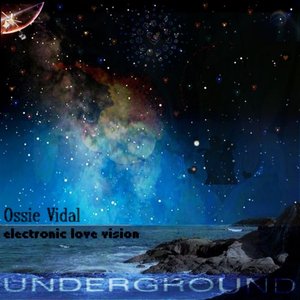 Изображение для 'Electronic Love Vision'