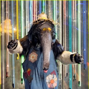 The Masked Singer: Anteater 的头像