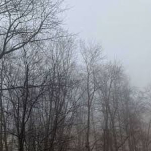 безмолвие