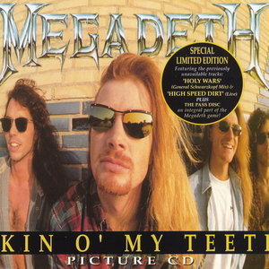 Megadeth - Skin O