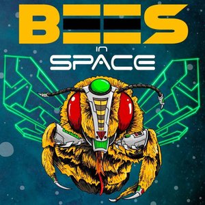 Bees in Space