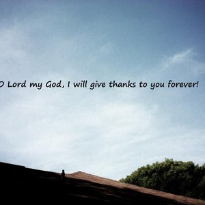 God's Love For Hardcore 的头像