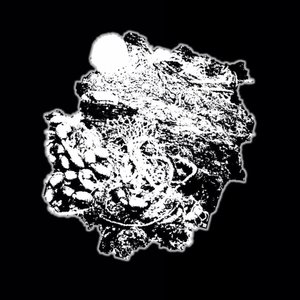 Campylobactosislagoonsea-trashmeglylysisaquaticstasisialectomy 的头像