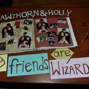 Avatar for Hawthorn and Holly