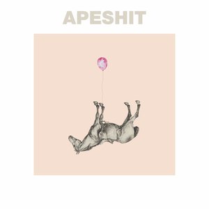 Apeshit - Single