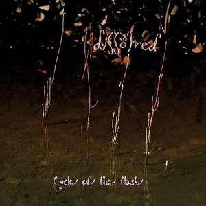 Cycle of the Flask