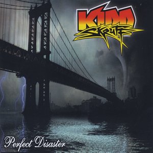 Perfect Disaster