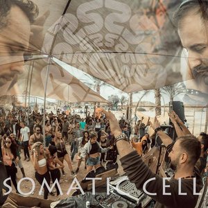 Somatic Cell 的头像