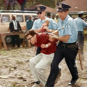 Bernie Sanders 的头像