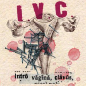 Intro Vagina Clavus