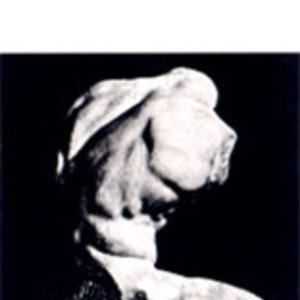 The Plough Horse