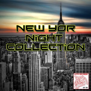 New York Night Collection