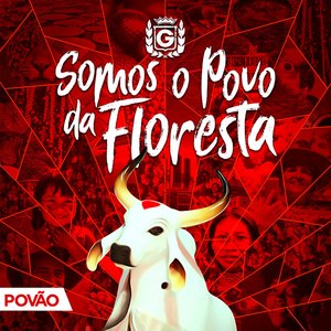 Somos o Povo da Floresta: Povão