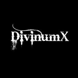 DivinumX 的头像