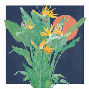 Music for Growing Plants