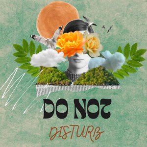 Do Not Disturb