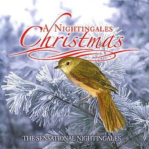 A Nightingale Christmas