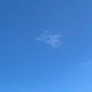 Author - Single