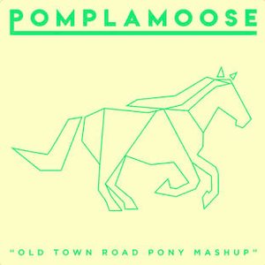 Old Town Road Pony Mashup