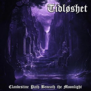 Clandestine Path Beneath the Moonlight