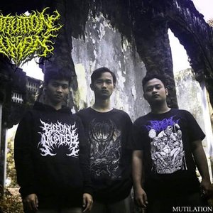 Mutilation Of Human 的头像