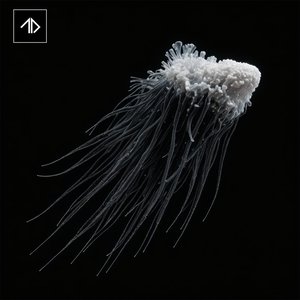 Spiral Descent - Single