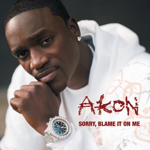 Sorry, Blame It On Me - Single