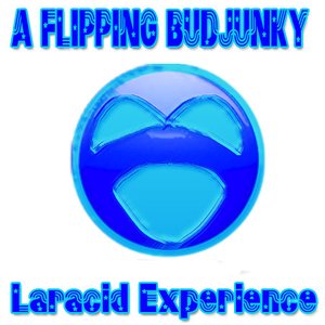 Image for 'Laracid Experience'