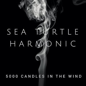 5000 Candles In The Wind