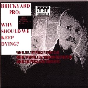 “Brickyard Pro: Why Should We Keep Dying?”的封面